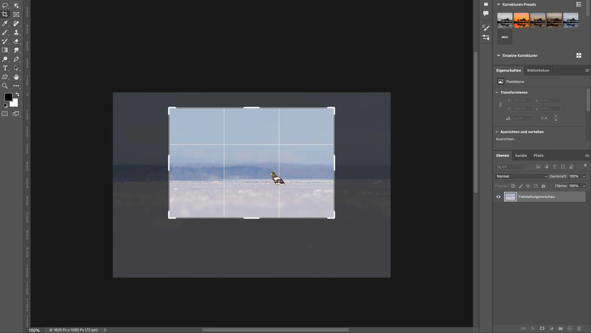 Photoshop screenshot with the crop tool tightening a winter scene showing a bird of prey on ice