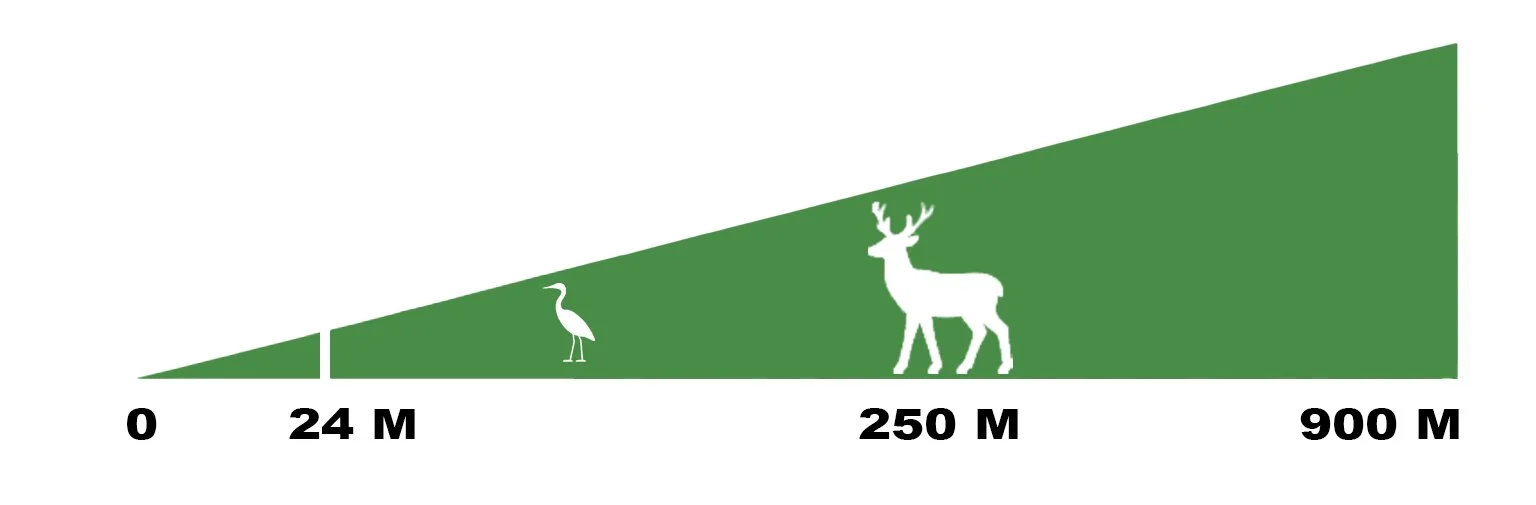 Graphic showing the field of view of the Lynx 19 2.0.