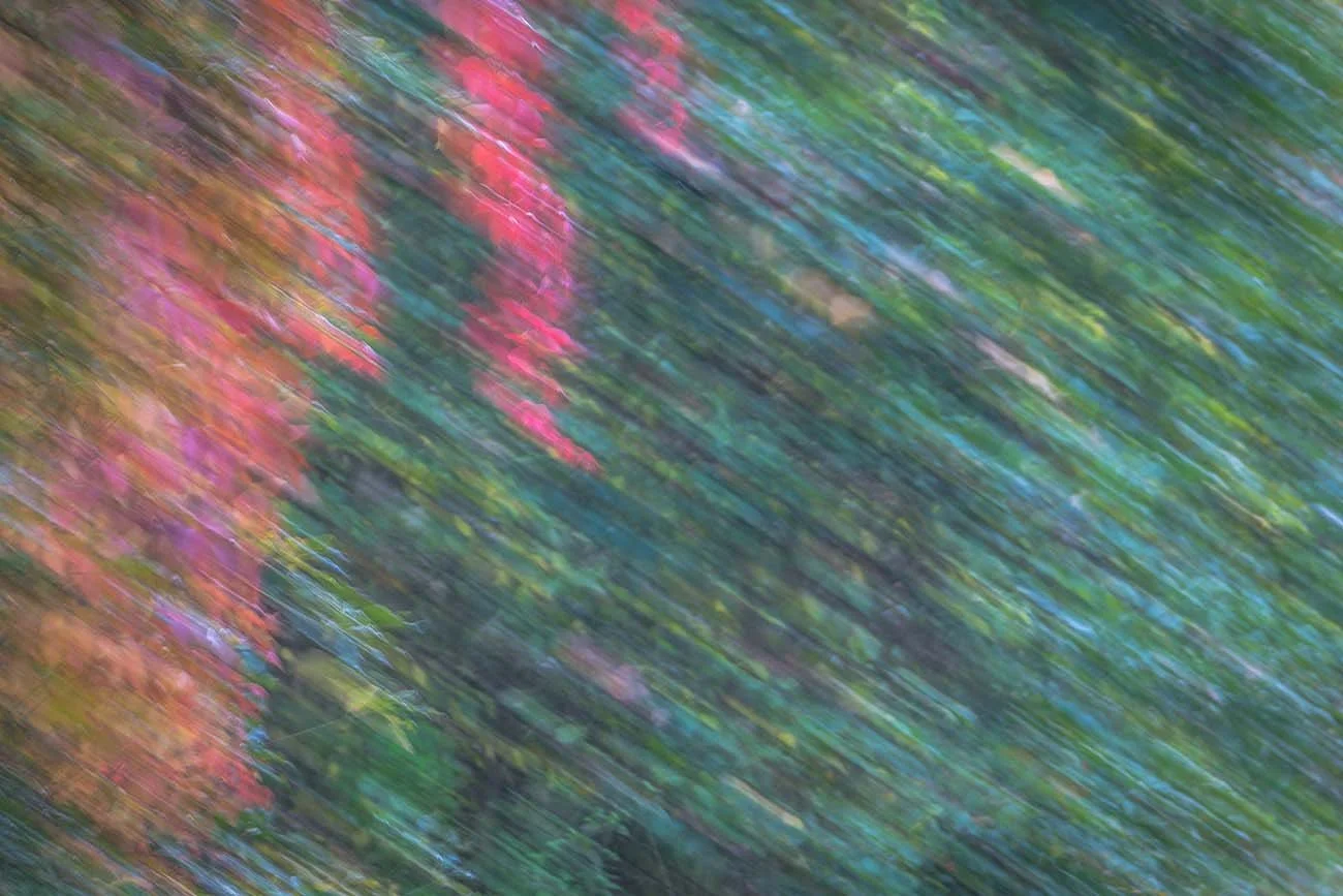Abstract depiction of autumn leaves in red and orange tones against a blurred background of green and blue colors