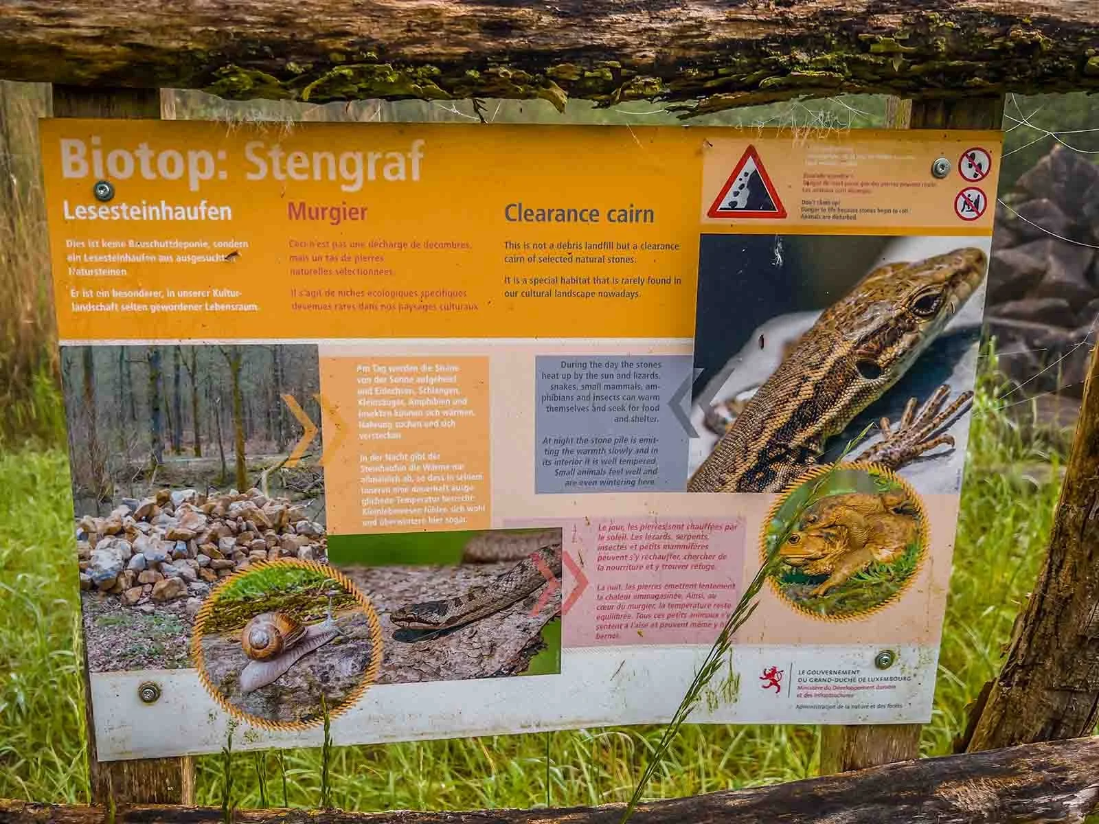 Pannello informativo arancione "Biotop: Stengraf" sui cumuli di pietre raccolte dai campi come habitat, con foto di lucertola, chiocciola, serpente e rospo.