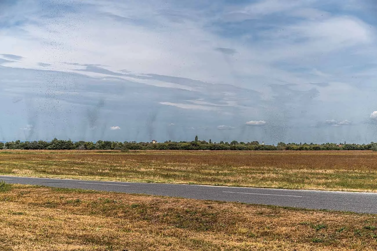 Unzählige fliegende Ameisen als dunkle Punkte und Schleier am Himmel über trockenen Feldern und einer leeren Landstraße.