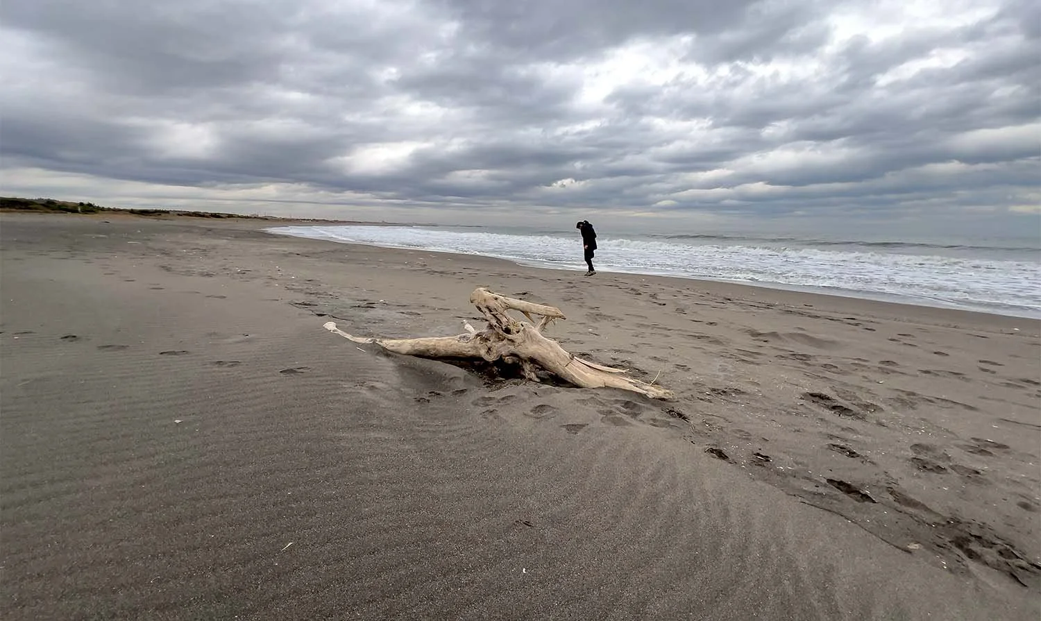 Driftwood on the wide Kujūkuri Beach in Japan with a lone figure at the waterline under a stormy sky.