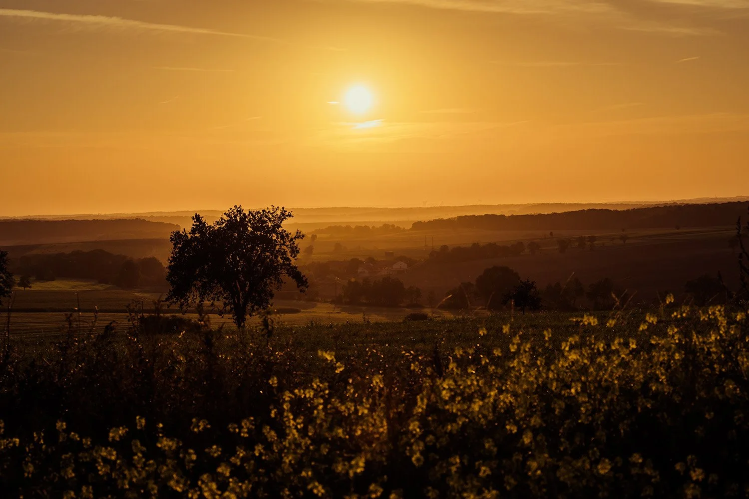 Landscape with a setting sun, a beautiful subject for nature photographers