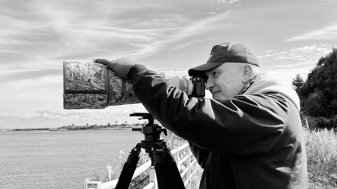 Sony 400 mm f/2.8 GM + TC 1.4x in use for photographing ospreys in Japan