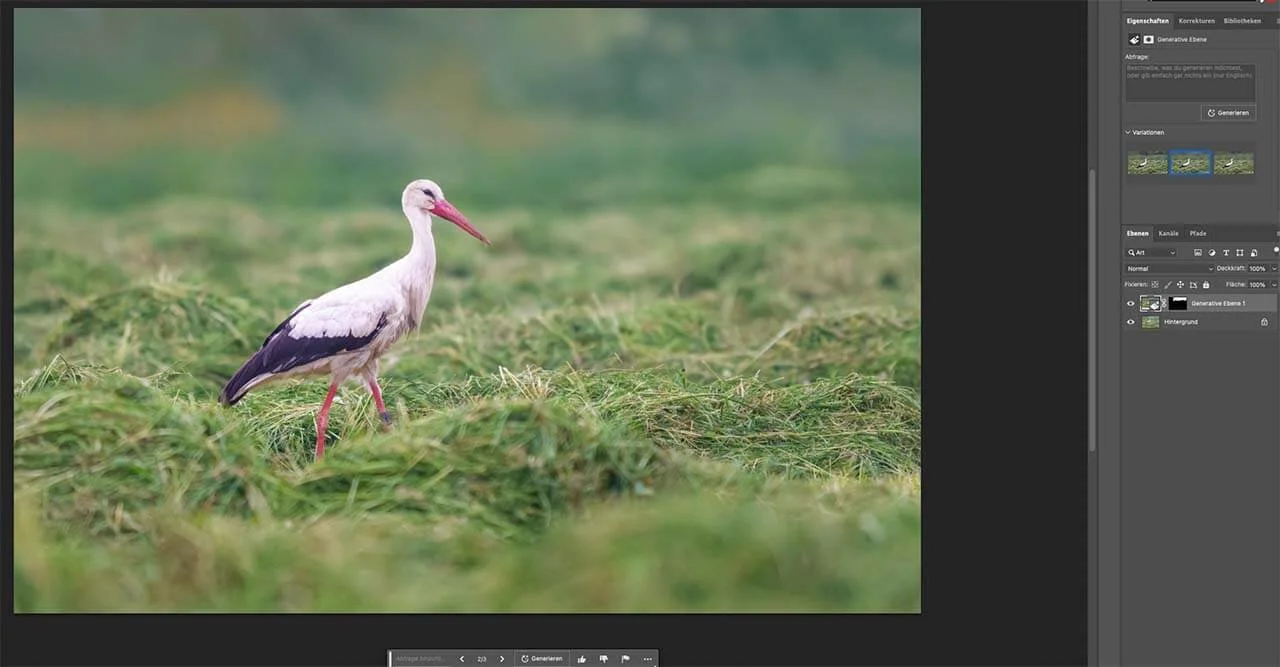 White stork image with replaced upper background using Photoshop AI
