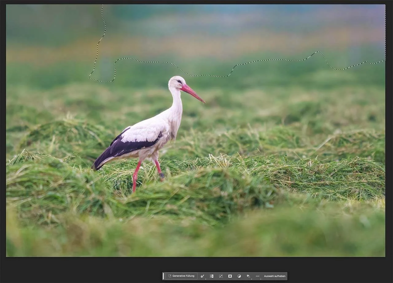 White stork in Photoshop with selection
