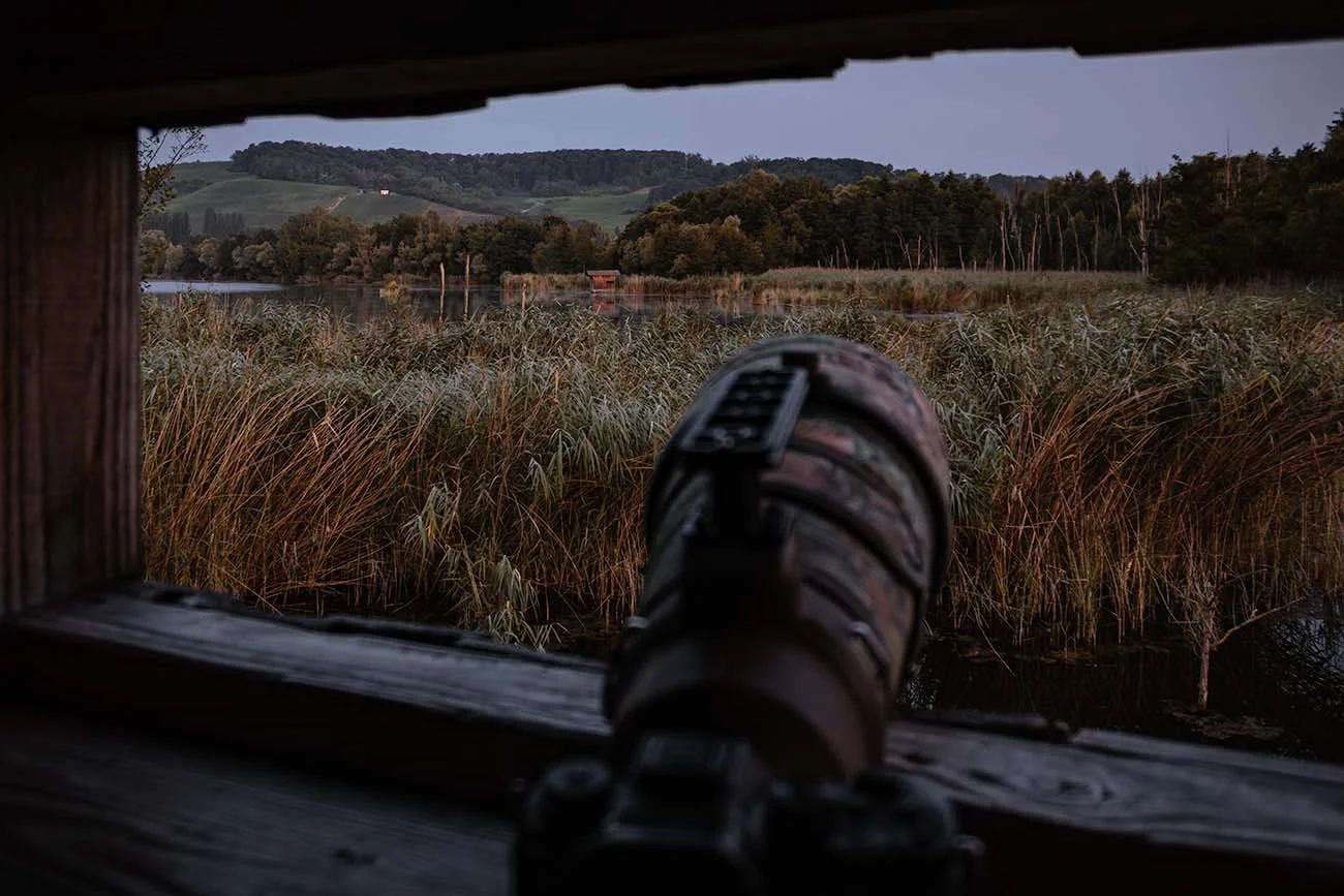 View from a birdwatching hide in Luxembourg showing a camera aimed at a scenic wetland with tall grass and distant hills at dusk.