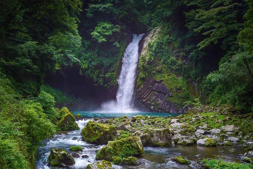 Cascada en exposición prolongada entre rocas cubiertas de musgo, en un bosque de montaña verde.